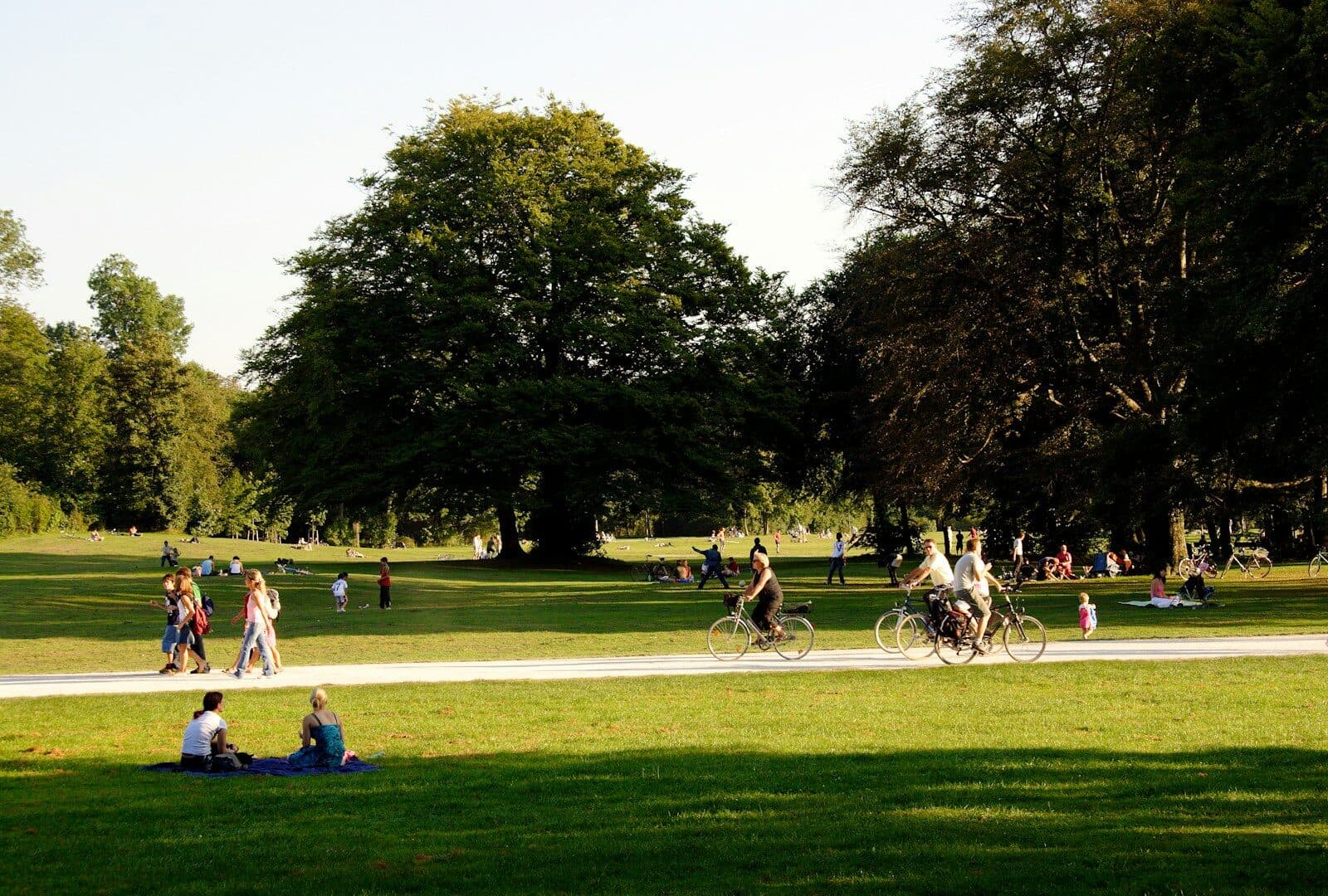 The Harrow Hill Trust