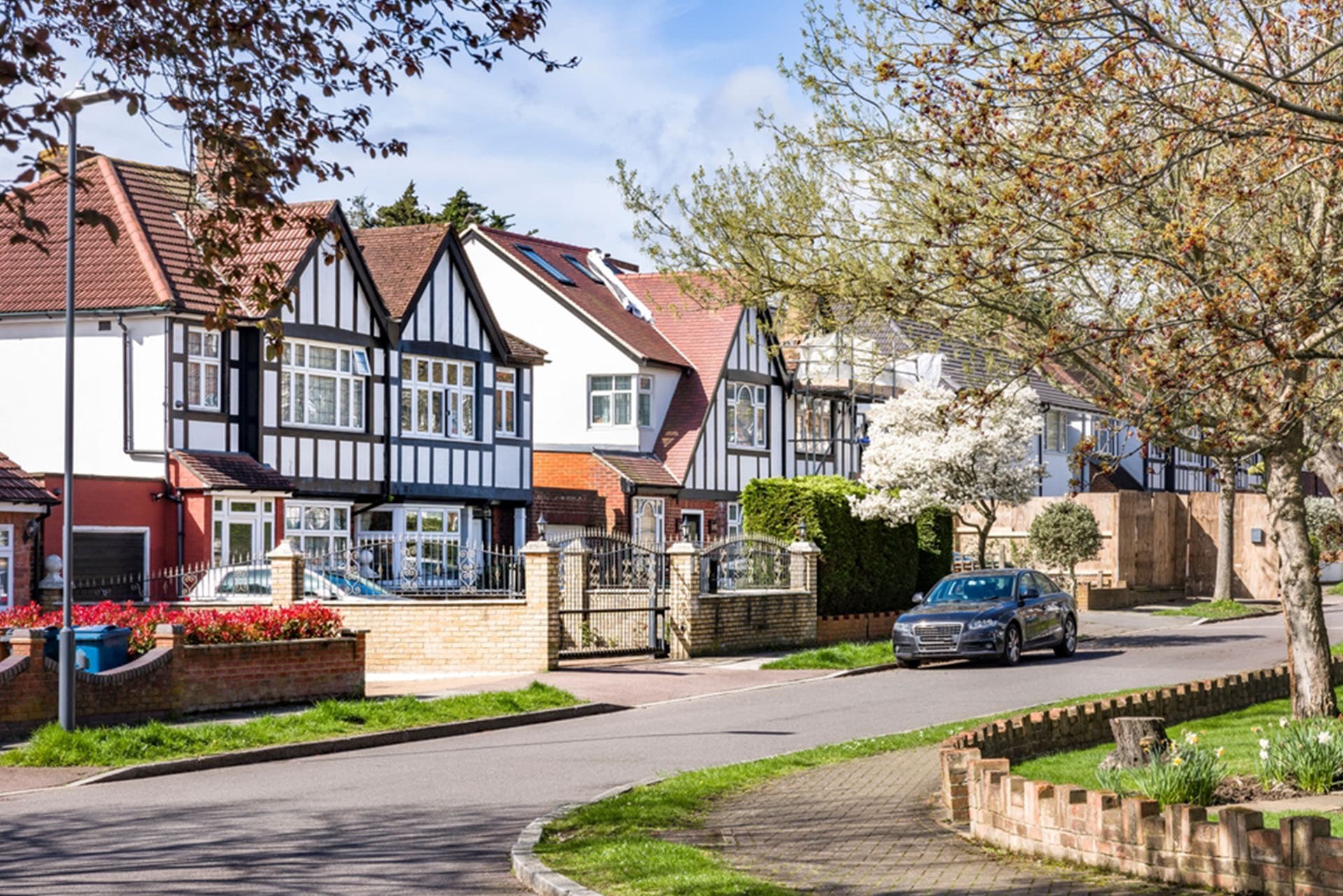 Established Local Experts